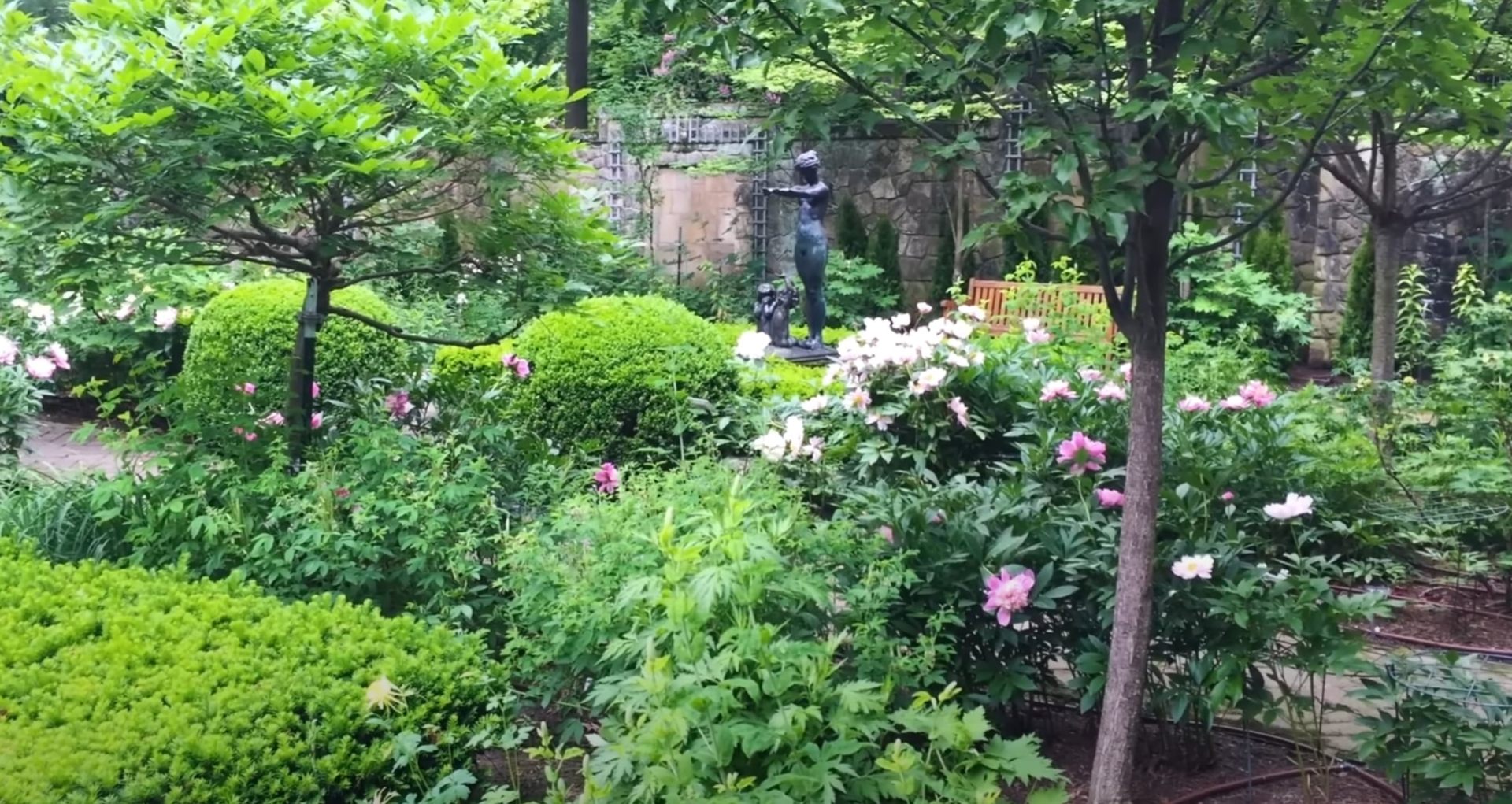 Lush garden design with mixed plantings, flowers, and natural stone features Lush garden design with mixed plantings, flowers, and natural stone features