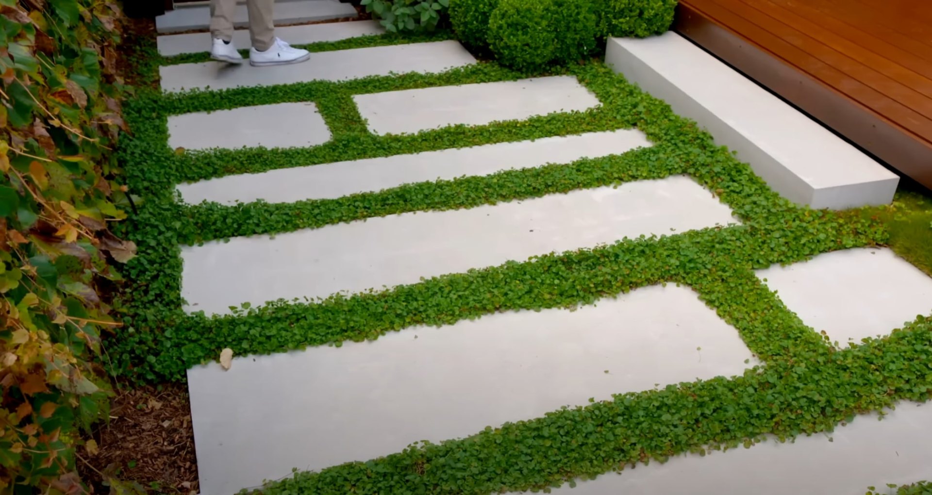 Contemporary hardscape design featuring clean lines and sustainable ground cover Modern geometric concrete pathway with green moss accents leading to outdoor living area